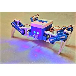 Spider Robot (spidy)  Plastic Parts only (3D Printed) With Screws without Servos