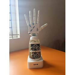 Prosthetic Hand – Wi-Fi Controlled – OpenCV Based