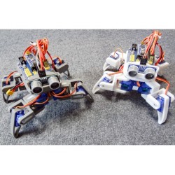 Baby Spider - Quadruped Spider / 4-Legged Walking Robot (3D Printed Parts with Screws only)