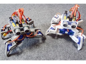 Spider Robot Assembly Instruction Manual